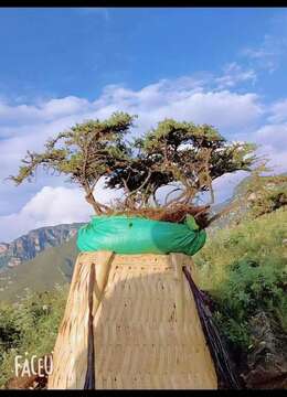 出土荀子喜欢速度