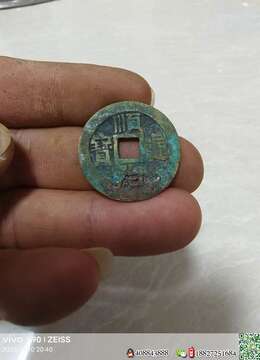 金弹子熟桩个人把玩大叶金弹子