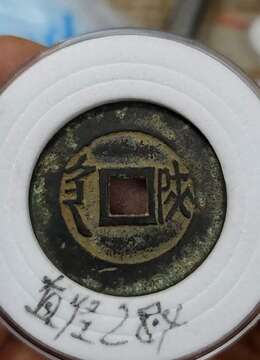 金弹子熟桩直杆金弹子