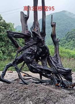 漂亮多多看上的来聊