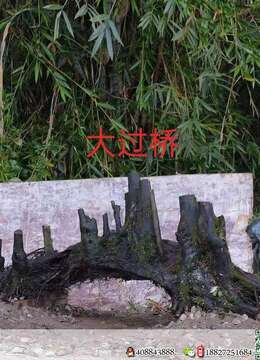 漂亮大过桥