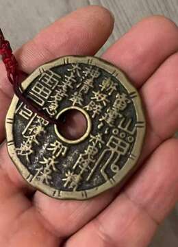 金弹子熟桩岭南派金弹子