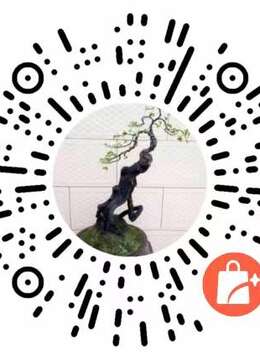 金弹子盆景Θ树疙瘩金弹子母桩子◇