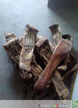 腊肉,自家粮食猪,吃不完了!有没有要滴,卖几块