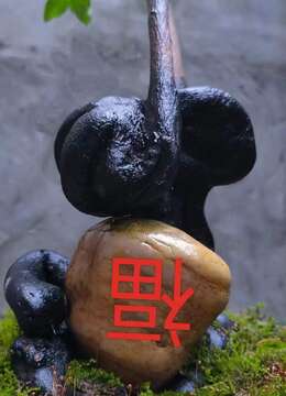 看上来聊