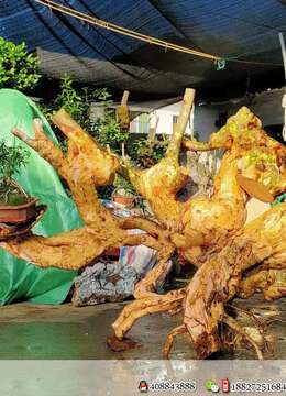 紫薇怪桩,有想法的老板来聊。