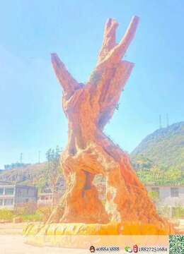 金弹子树桩盆景★树瘿金弹子地景の