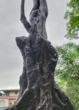 刚下筱⼀紀一颗漂亮大堡垒