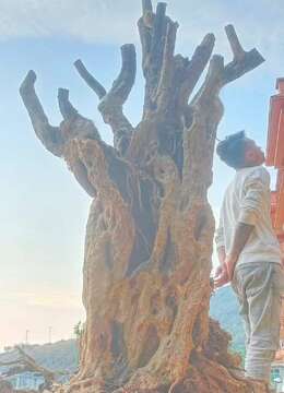 三百斤左右,漂亮大货,喜欢速度