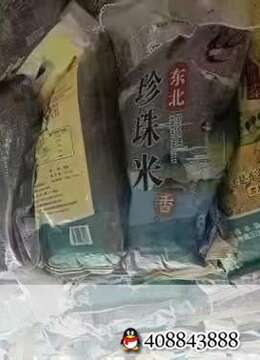 金弹子每年10-11月一定要施肥,明年才能结更多果果,出售我们基地一直在用的发酵有机肥!