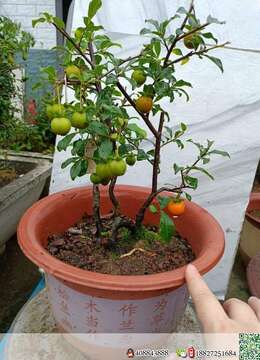 国庆特惠，喜欢的老板联系喔