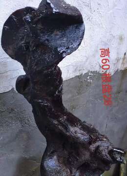 两个小漂亮,看上来聊