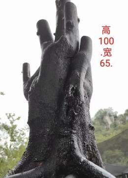 刚刚下山新鲜。漂亮大桩,熟桩,金弹子,有喜欢赶紧下单