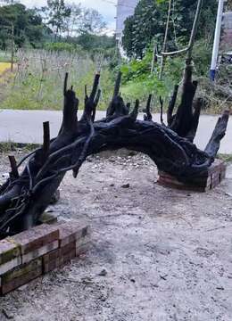 超级大过桥,看上来聊