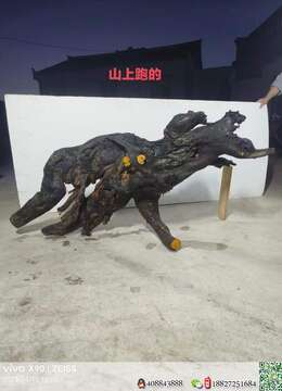 金弹子网修剪造型好金弹子出售