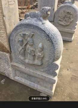 金弹子树桩盆景●传统金弹子批发╬