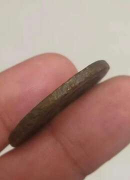 金弹子网金弹子如何运输